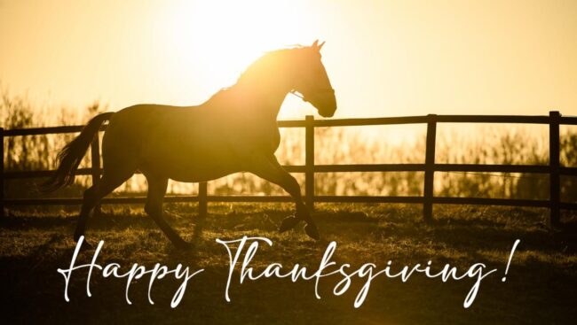 horse-thanksgiving-sunset