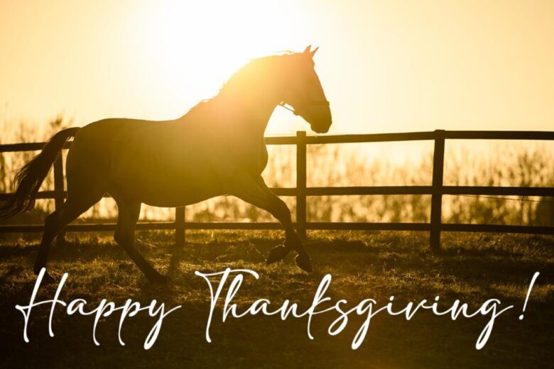 horse-thanksgiving-sunset