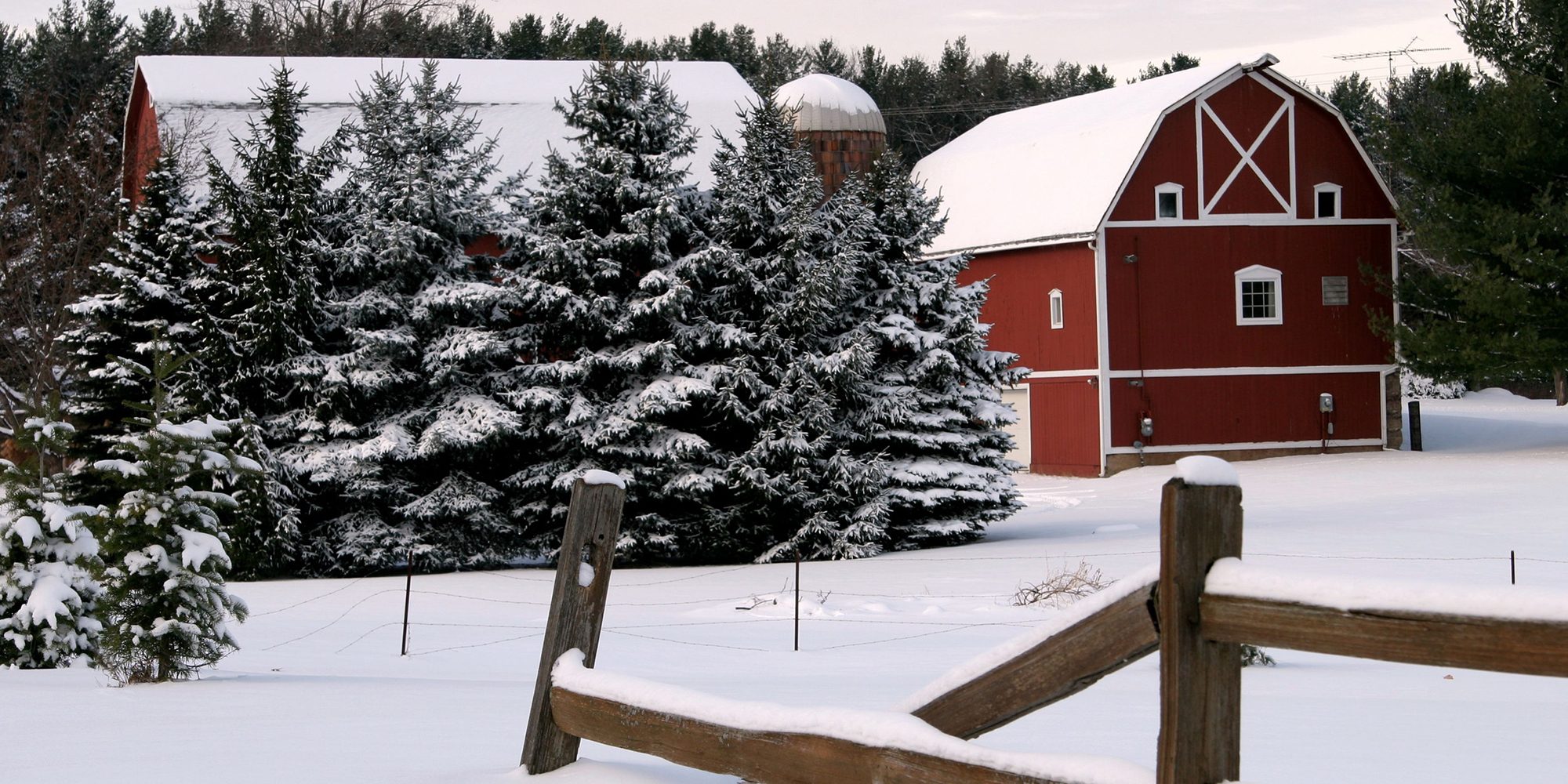 Winter farm scene
