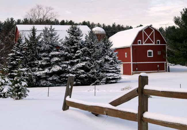 Winter farm scene