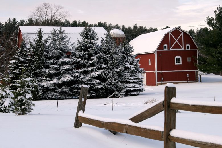 Winter farm scene